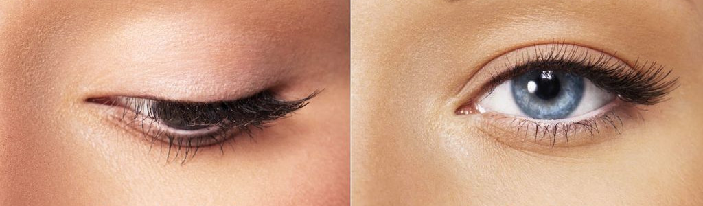 bannière STUDIO VALERIA PAUL