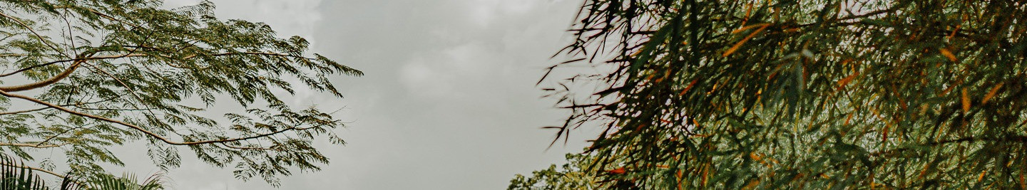 bannière Spa Les Alizés