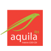 Aquila