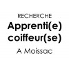 Apprenti coiffeur / Apprentie coiffeuse